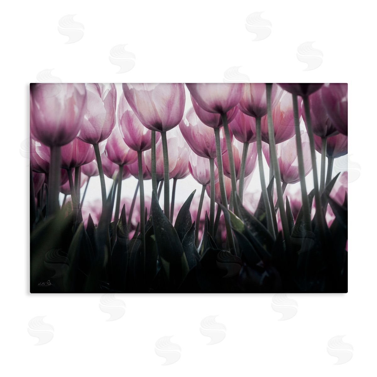 Martin Podt Uplifting Purple Tulip Field Canvas Wall Art Print