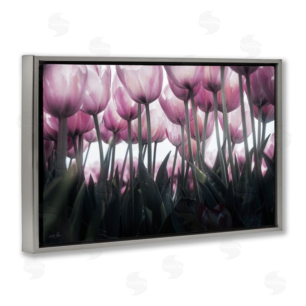 Martin Podt Uplifting Purple Tulip Field Gray Floating Frame Canvas Wall Art Print