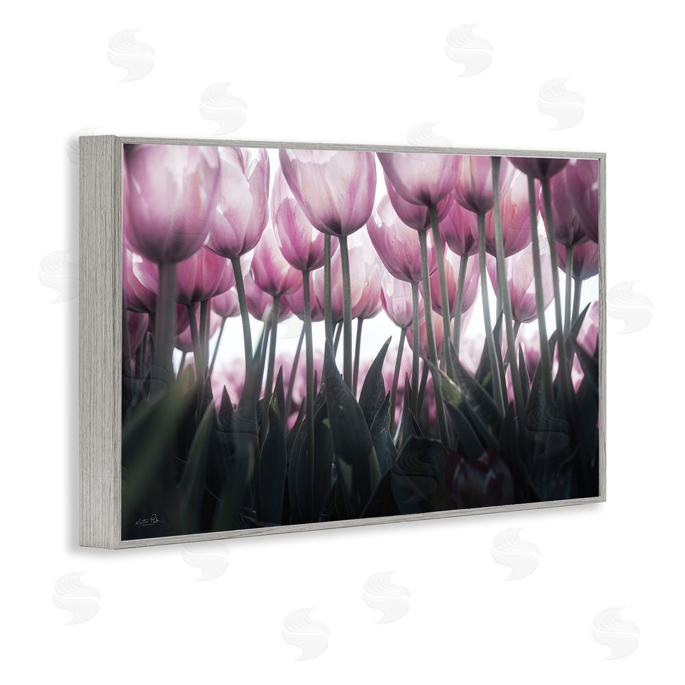 Martin Podt Uplifting Purple Tulip Field Gray Framed Giclee Wall Art Print