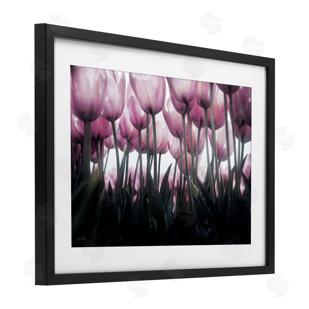 Martin Podt Uplifting Purple Tulip Field Black Framed Print Under Glass with White Mat Wall Art