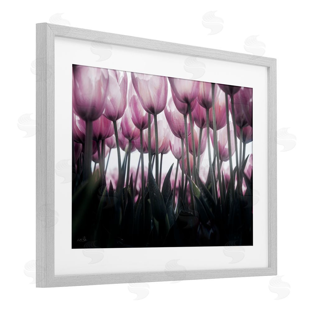 Martin Podt Uplifting Purple Tulip Field Gray Framed Print Under Glass with White Mat Wall Art