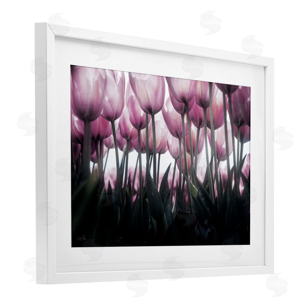 Martin Podt Uplifting Purple Tulip Field White Framed Print Under Glass with Mat Wall Art