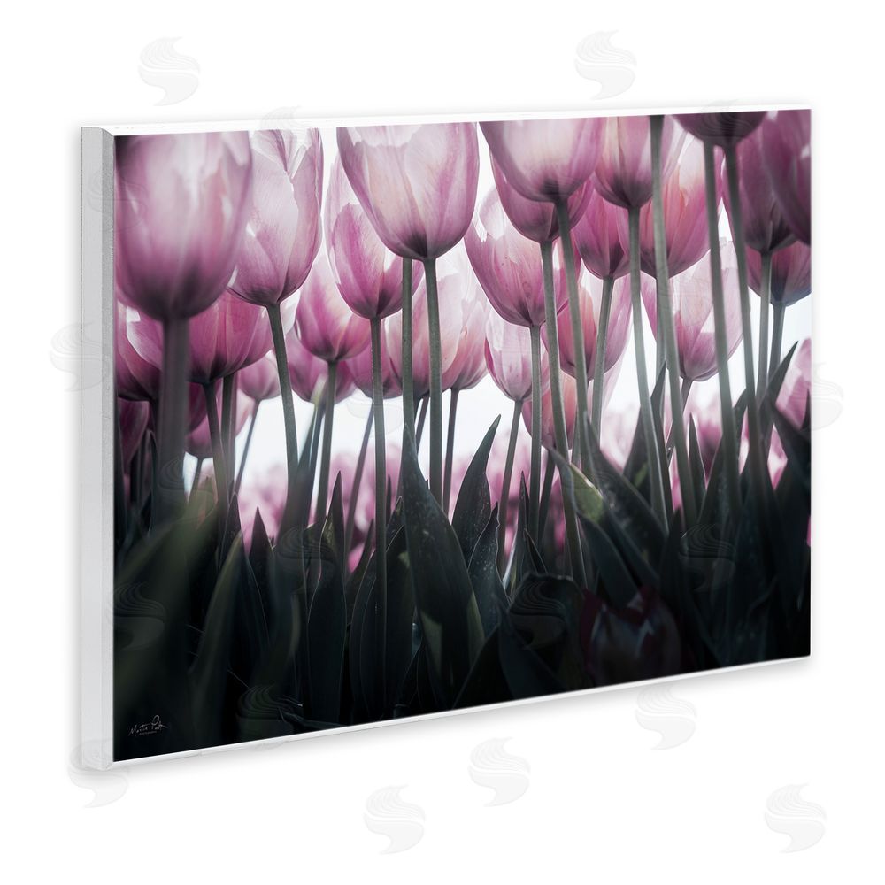 Martin Podt Uplifting Purple Tulip Field Wall Plaque Art Print