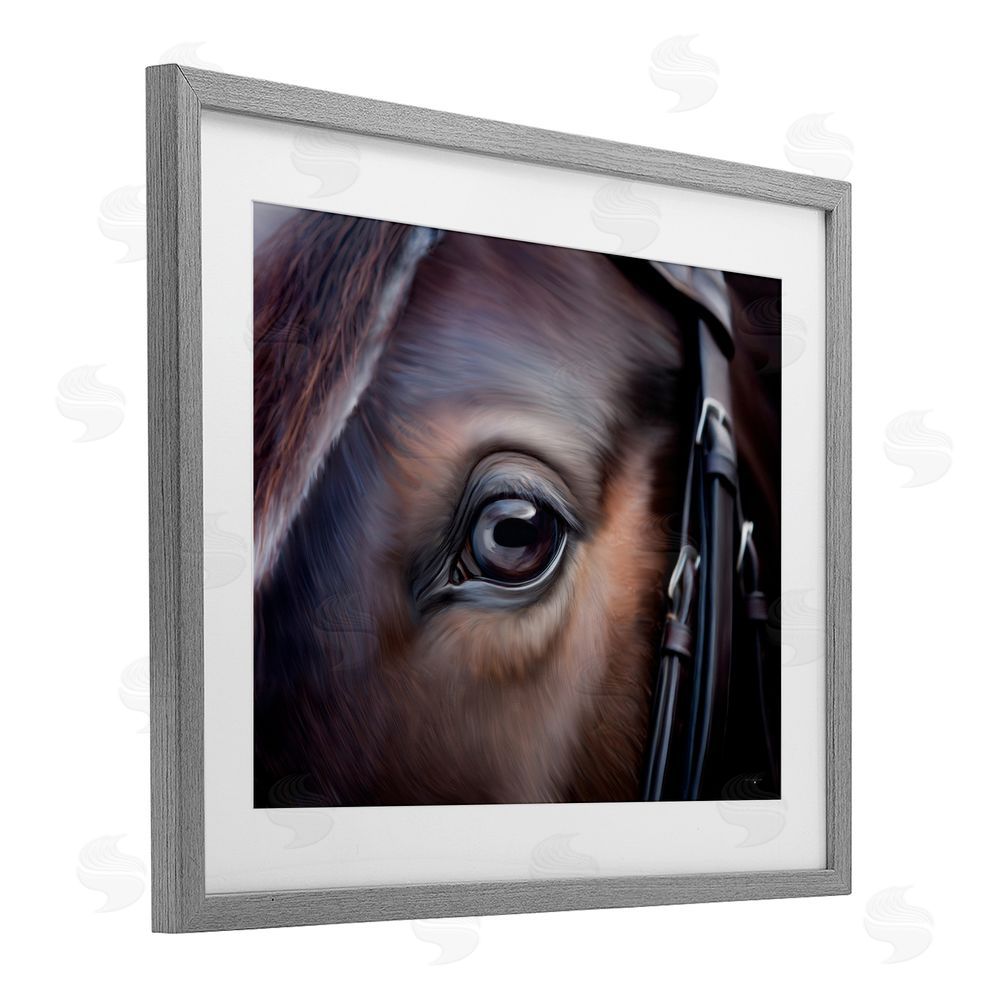 Seven Trees Design Equine Gaze Close Up Gray Framed Print Under Glass with White Mat Wall Art