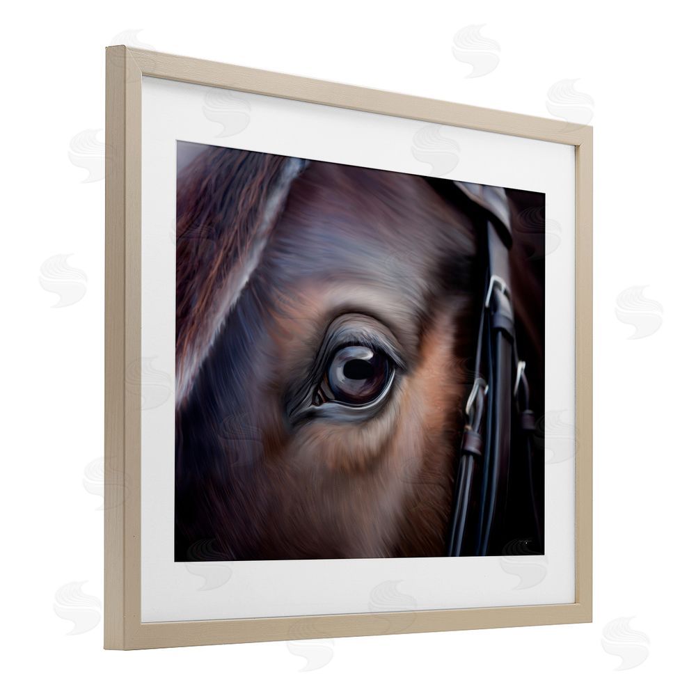 Seven Trees Design Equine Gaze Close Up Birch Framed Print Under Glass with White Mat Wall Art