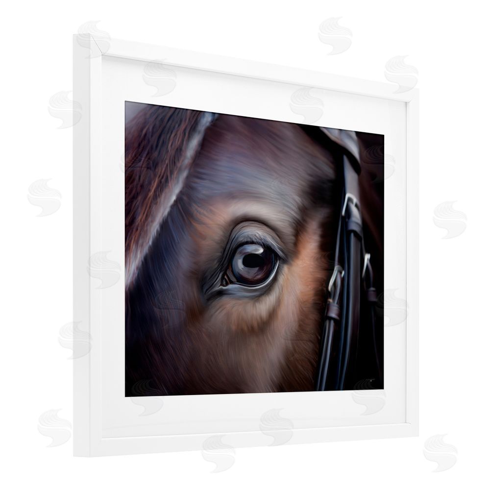 Seven Trees Design Equine Gaze Close Up White Framed Print Under Glass with Mat Wall Art