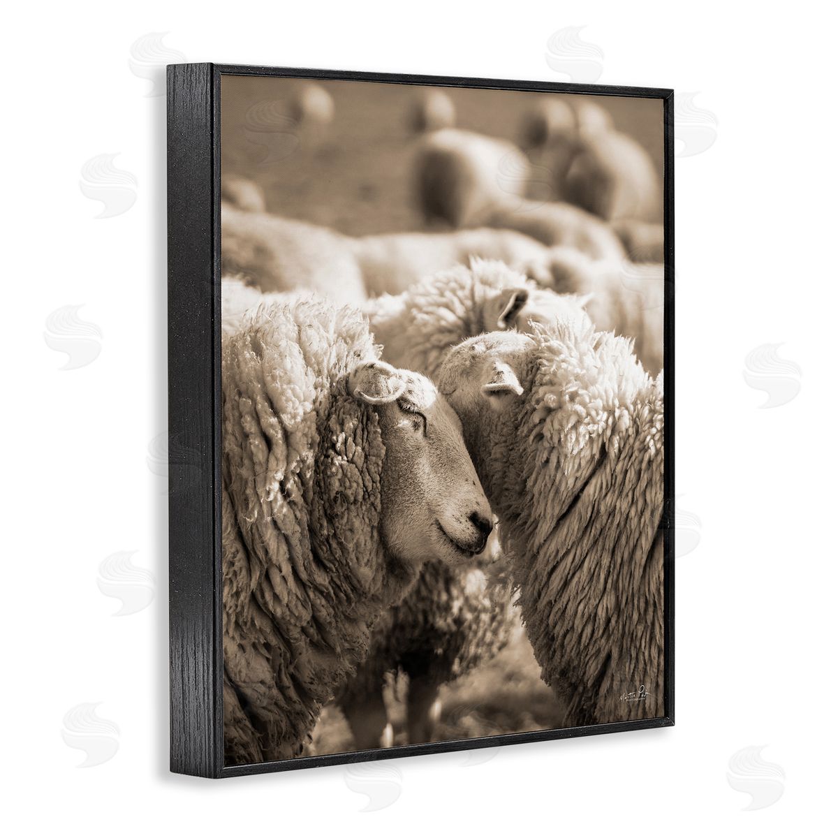 Martin Podt Hugging Sheep in Flock Black Framed Giclee Wall Art Print