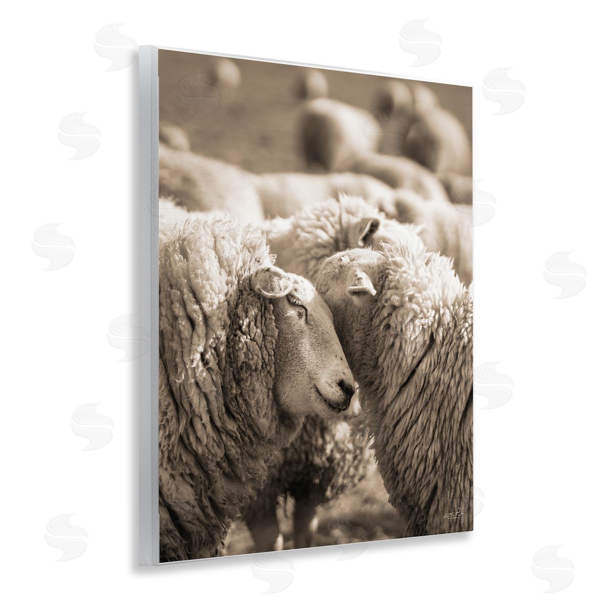 Martin Podt Hugging Sheep in Flock Wall Plaque Art Print