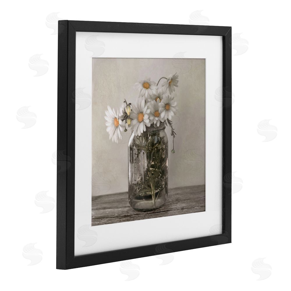Robin-Lee Viera Joy In A Jar Daisies Black Framed Print Under Glass with White Mat Wall Art
