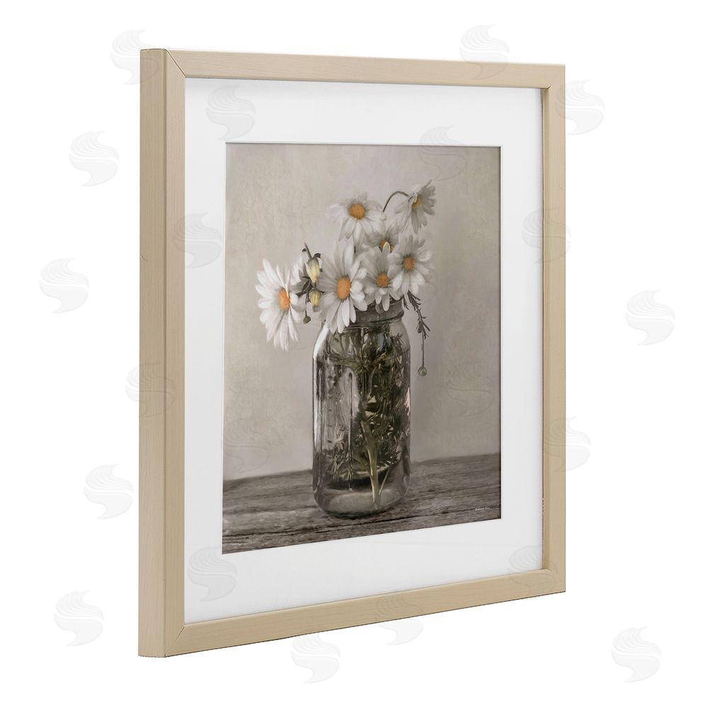 Robin-Lee Viera Joy In A Jar Daisies Birch Framed Print Under Glass with White Mat Wall Art