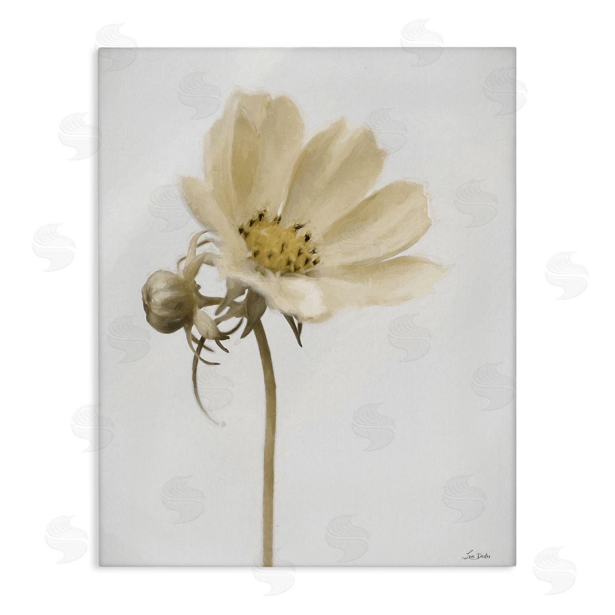 Lori Deiter Simple Beauty Soft Flower Canvas Wall Art Print