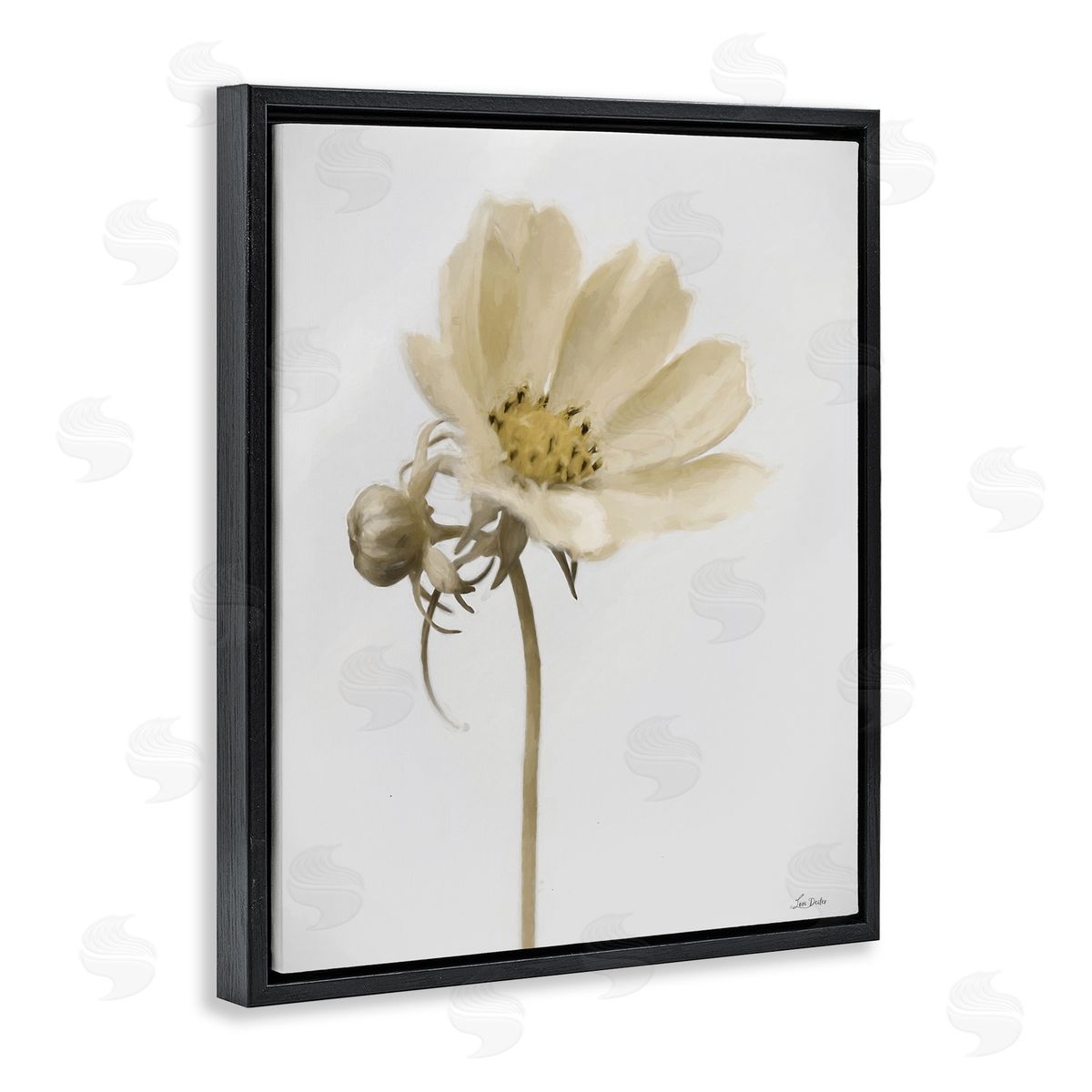 Lori Deiter Simple Beauty Soft Flower Black Floating Frame Canvas Wall Art Print