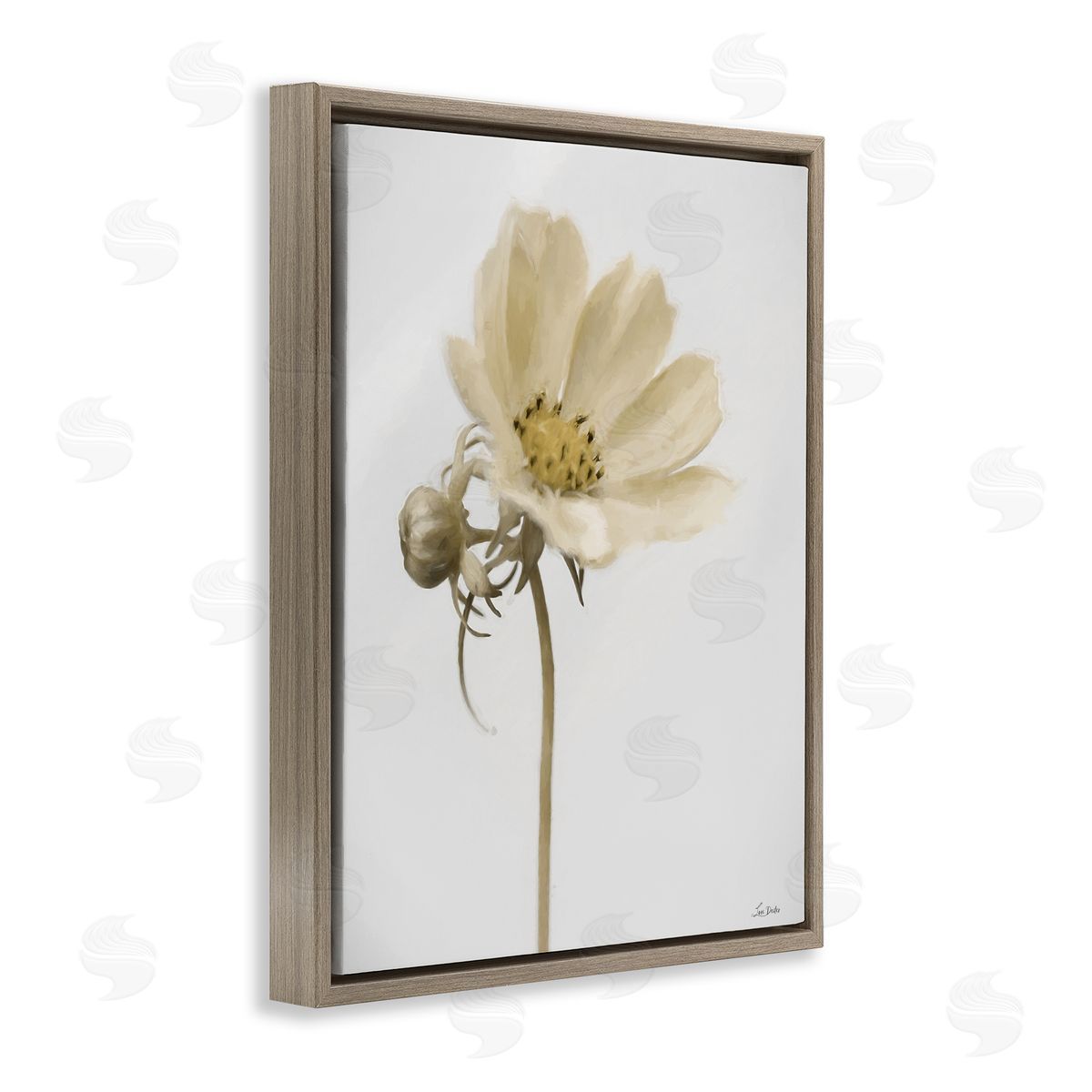 Lori Deiter Simple Beauty Soft Flower Brown Floating Frame Canvas Wall Art Print