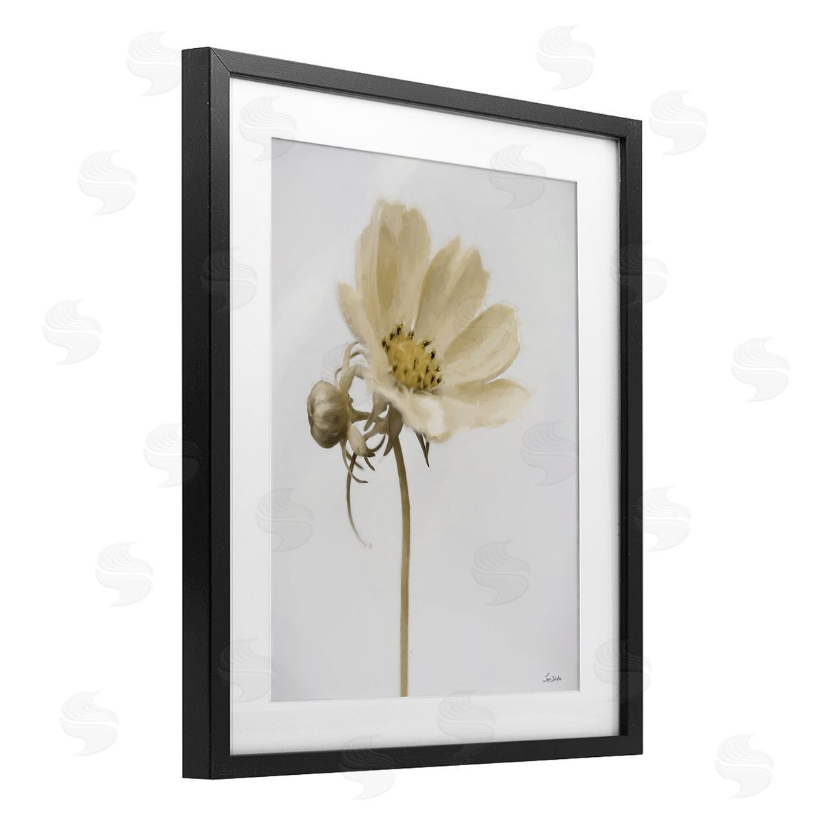 Lori Deiter Simple Beauty Soft Flower Black Framed Print Under Glass with White Mat Wall Art