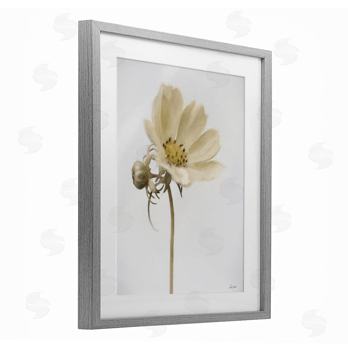 Lori Deiter Simple Beauty Soft Flower Gray Framed Print Under Glass with White Mat Wall Art