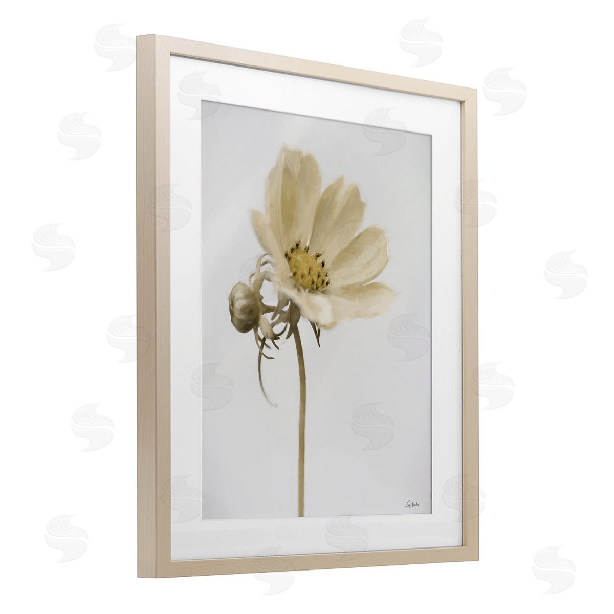 Lori Deiter Simple Beauty Soft Flower Birch Framed Print Under Glass with White Mat Wall Art