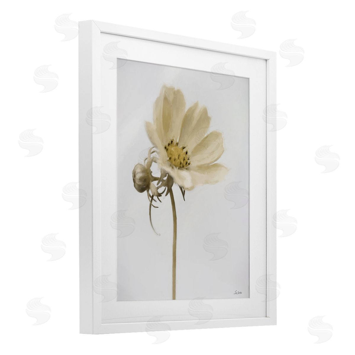 Lori Deiter Simple Beauty Soft Flower White Framed Print Under Glass with Mat Wall Art