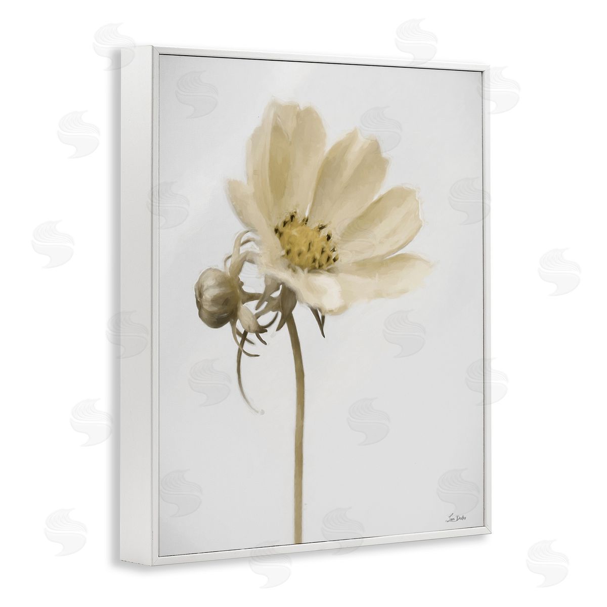 Lori Deiter Simple Beauty Soft Flower White Framed Giclee Wall Art Print