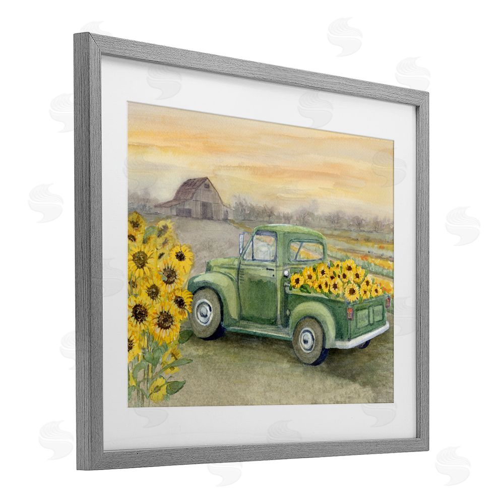 Patti Bishop Wild Sunflower Truck Harvest Gray Framed Print Under Glass with White Mat Wall Art