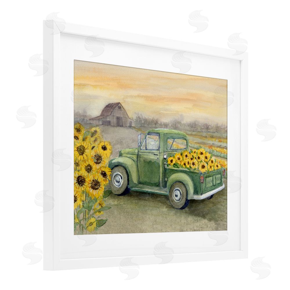 Patti Bishop Wild Sunflower Truck Harvest White Framed Print Under Glass with Mat Wall Art