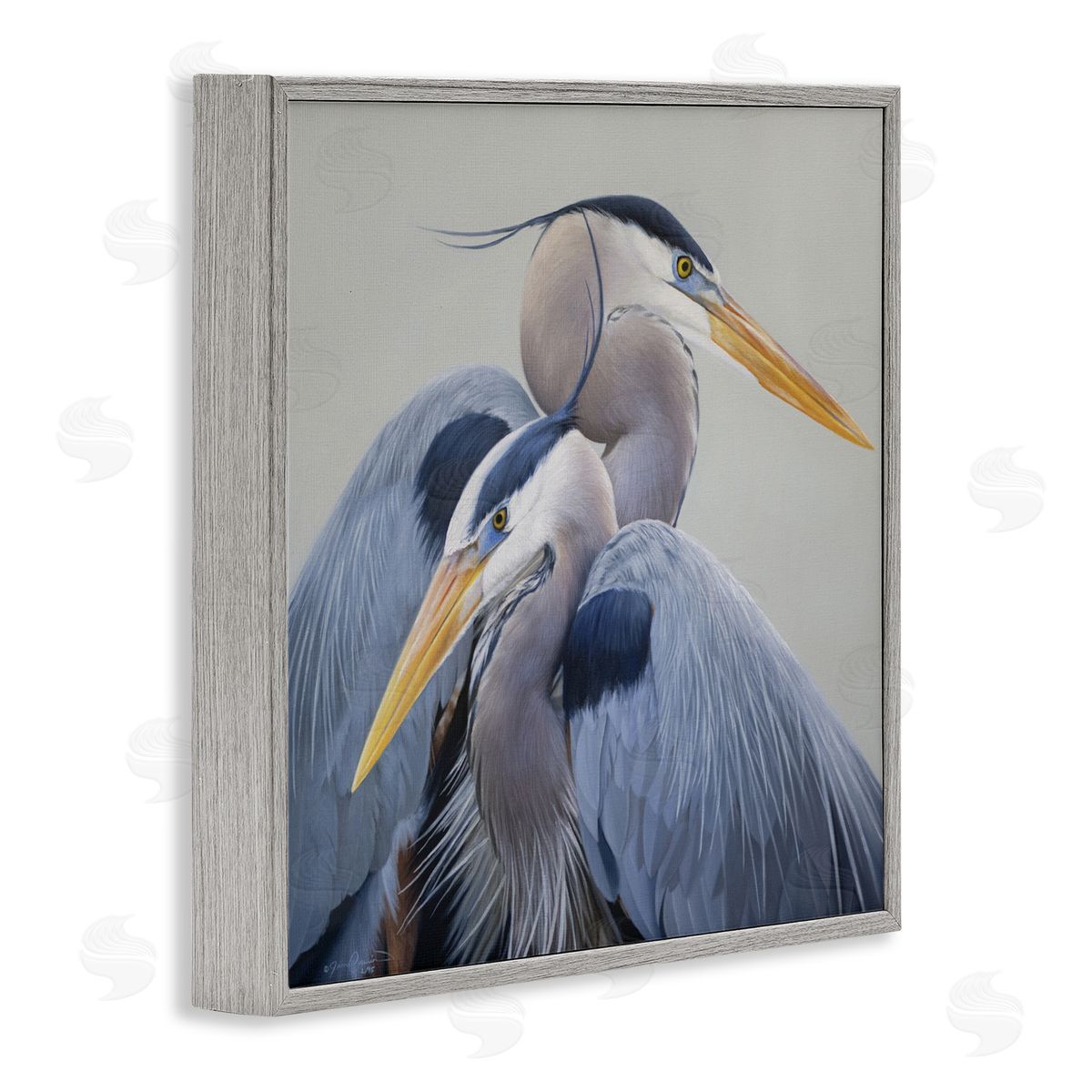 James Corwin Elegant Heron Twins Gray Framed Giclee Wall Art Print