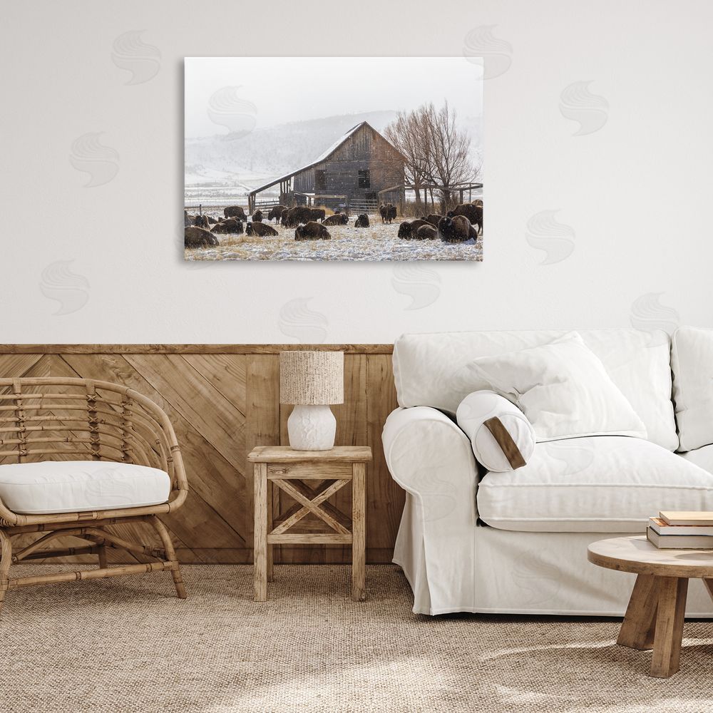 Jeff Poe Photography Colorado Buffalo Snowy Farm Canvas Art on Wall