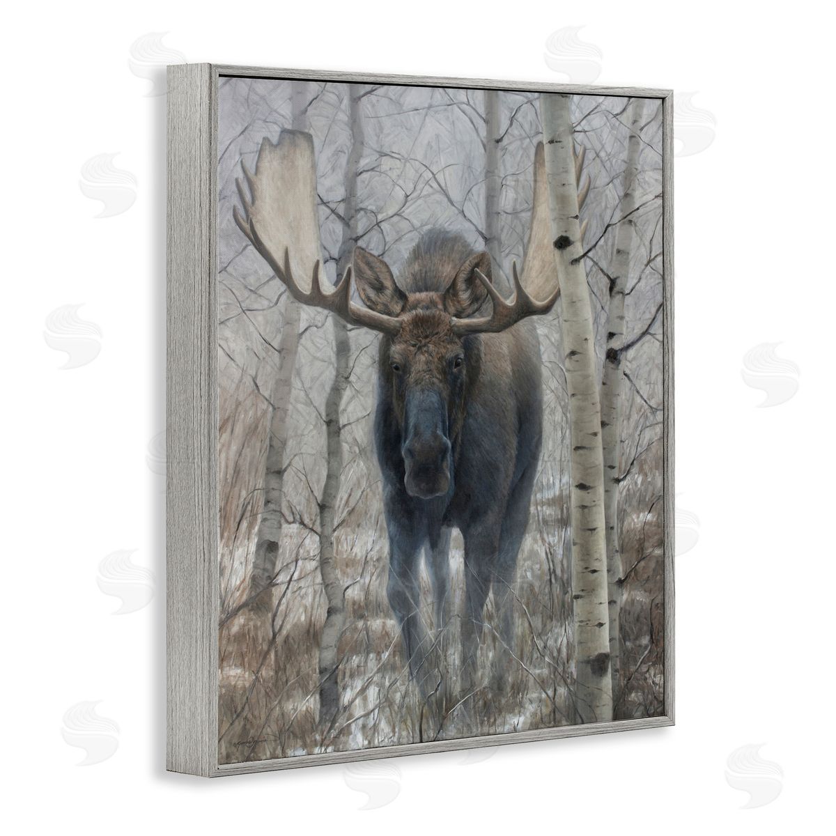 James Corwin Moose in Winter Birch Forest Gray Framed Giclee Wall Art Print