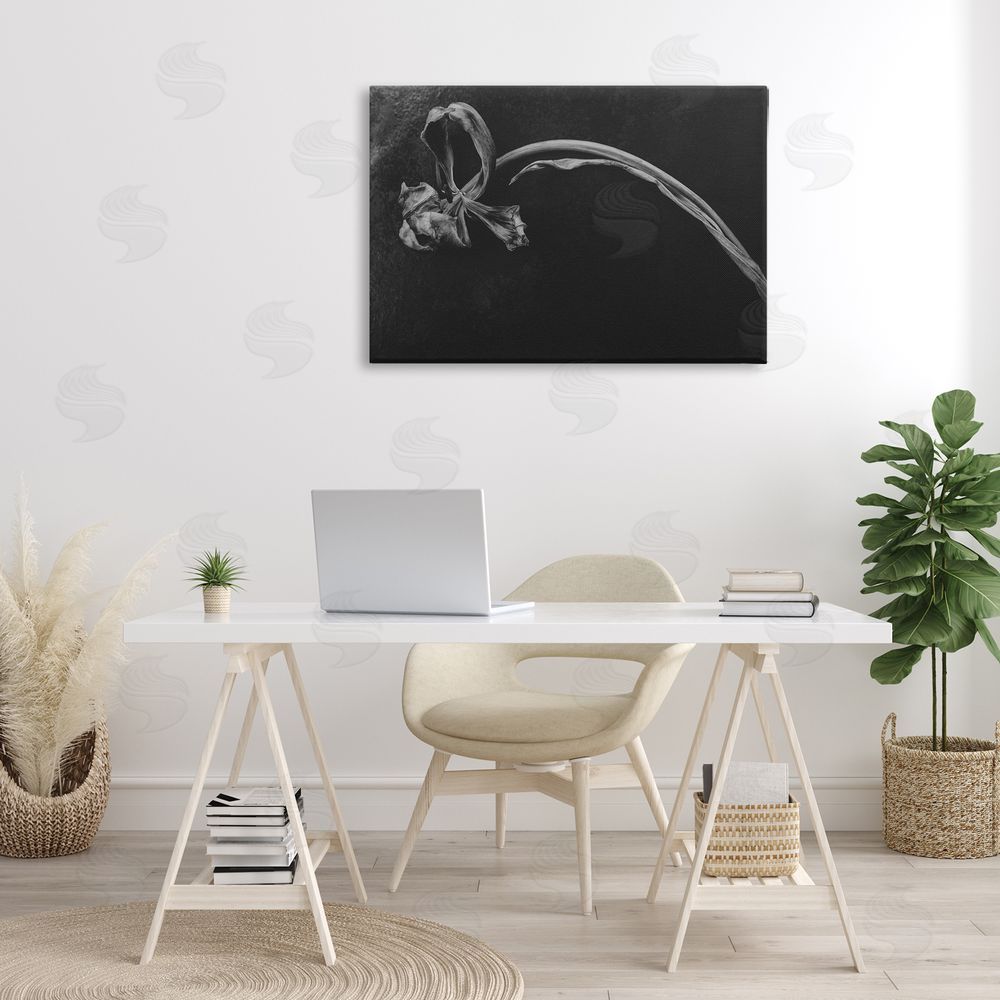 Amy Carroll Soft Collapse Flower Canvas Art on Wall