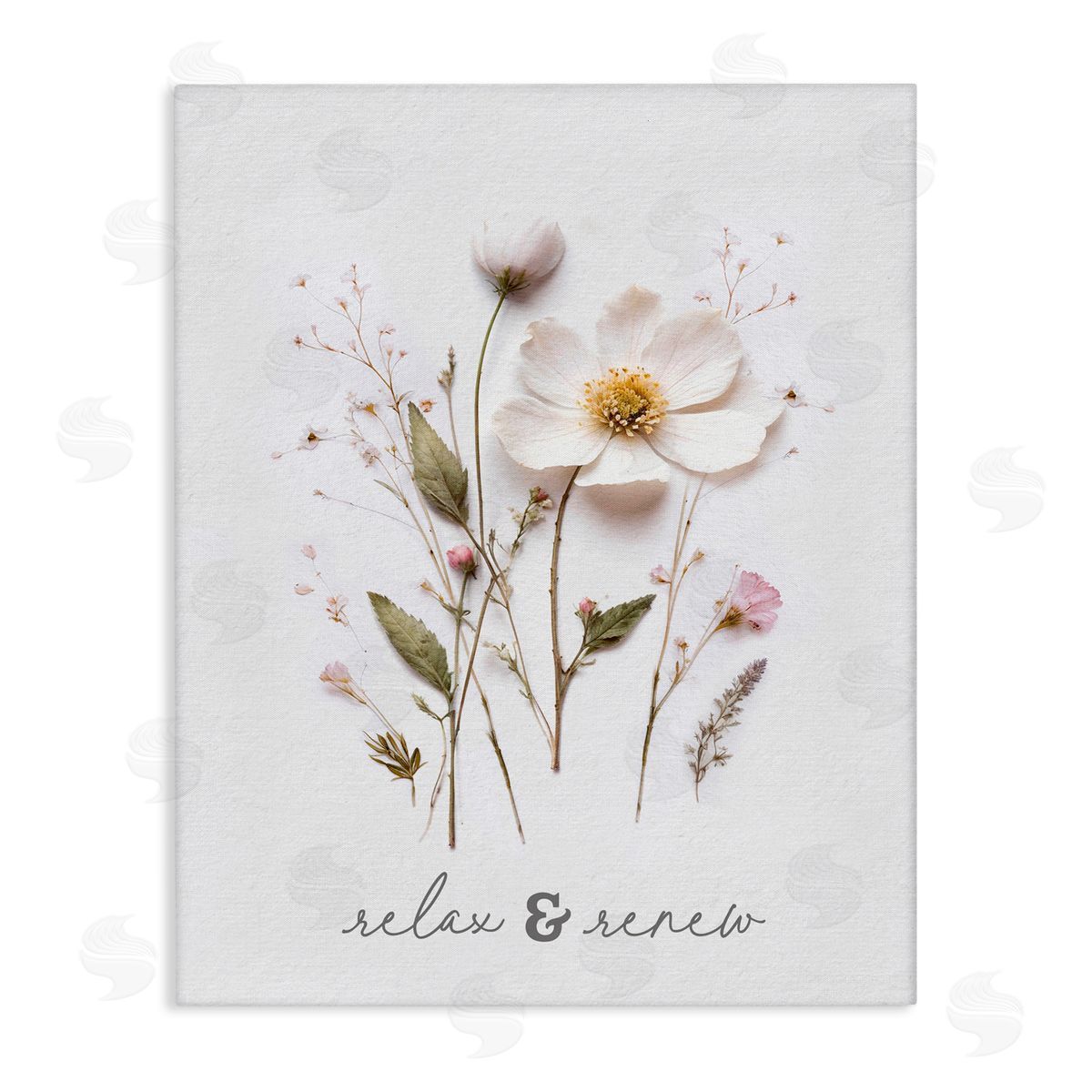 Lettered and Lined Pressed Flower Relax & Renew Stretched Canvas Wall Art Print