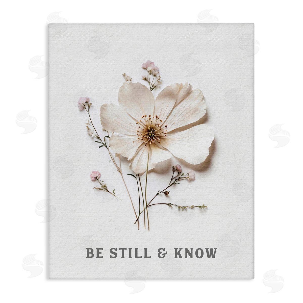 Lettered and Lined Be Still & Know Pressed Flowers Stretched Canvas Wall Art Print