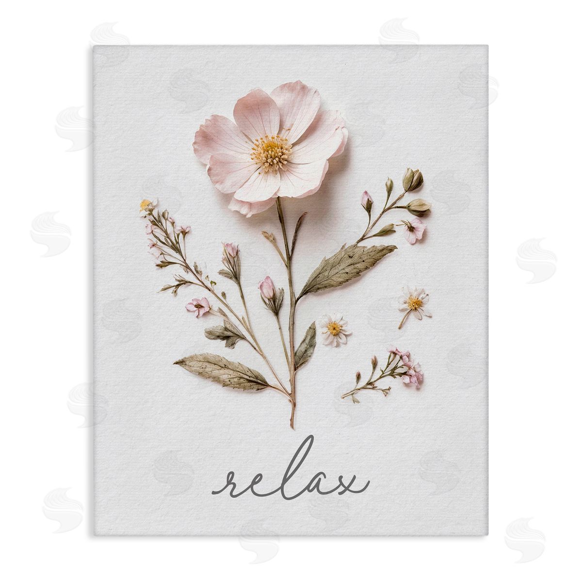 Lettered and Lined Pressed Flowers Relax Stretched Canvas Wall Art Print