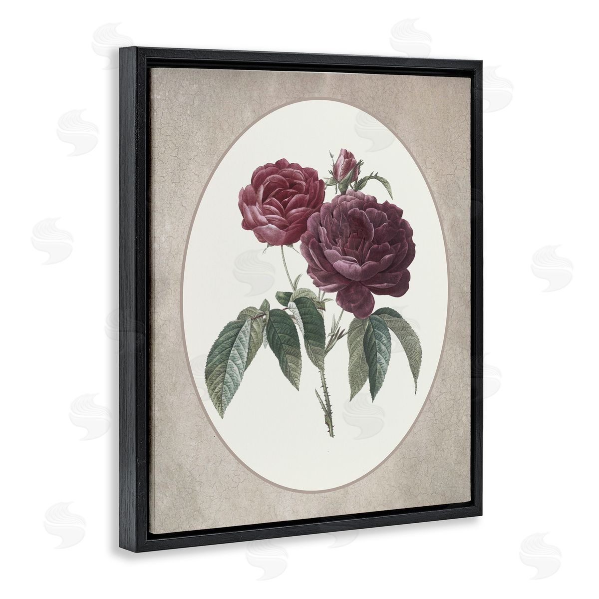 Lettered and Lined Vintage Blooms within Oval Black Floating Frame Canvas Wall Art Print