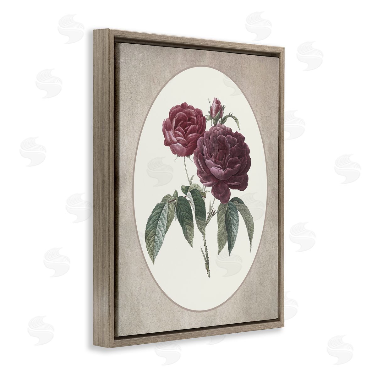 Lettered and Lined Vintage Blooms within Oval Brown Floating Frame Canvas Wall Art Print