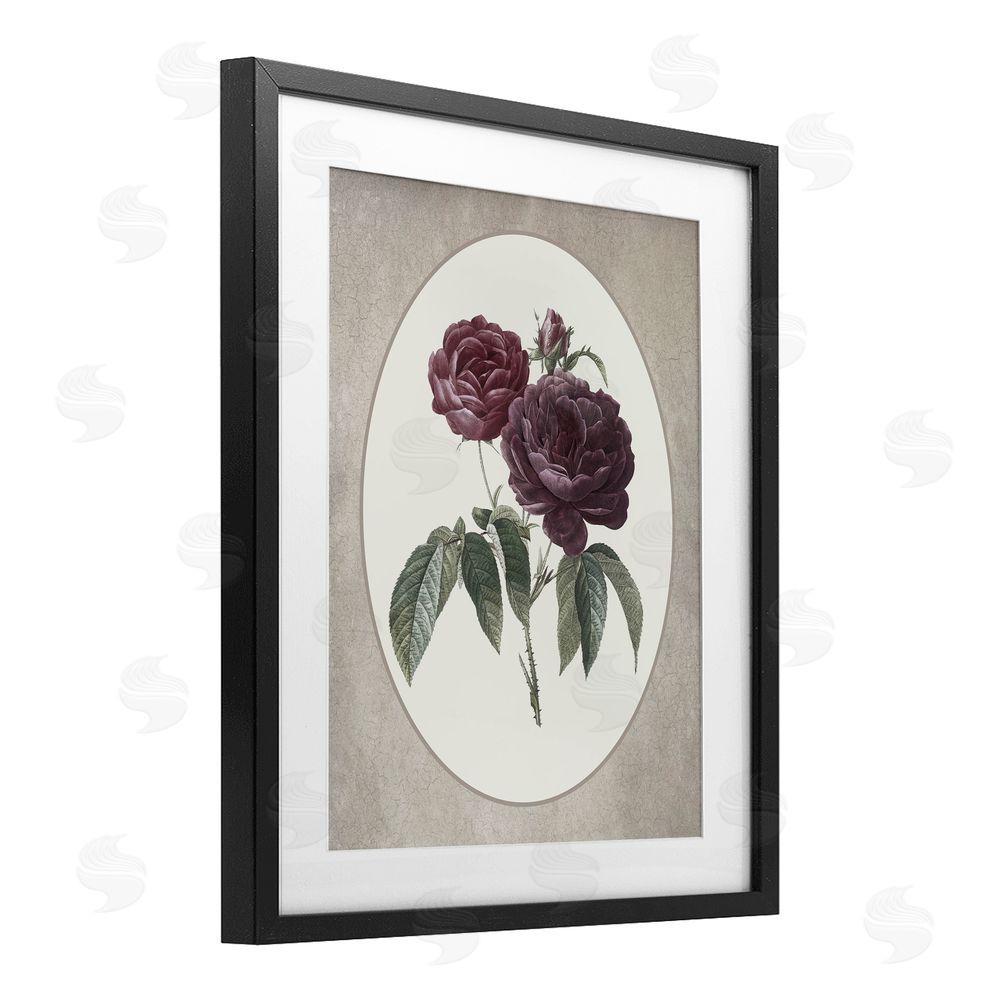 Lettered and Lined Vintage Blooms within Oval Black Framed Print Under Glass Wall Art