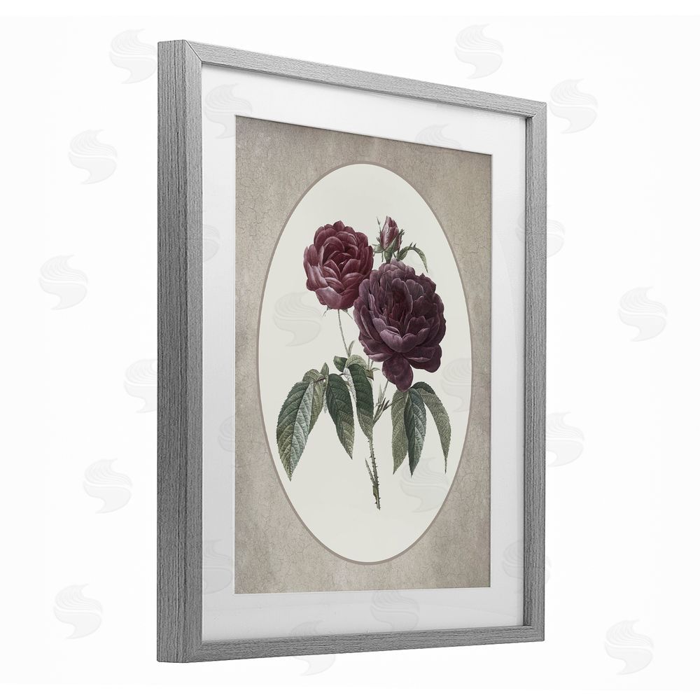 Lettered and Lined Vintage Blooms within Oval Gray Framed Print Under Glass Wall Art