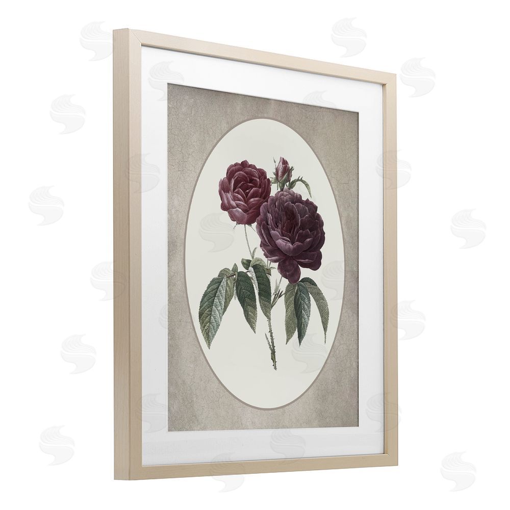 Lettered and Lined Vintage Blooms within Oval Brown Framed Print Under Glass Wall Art