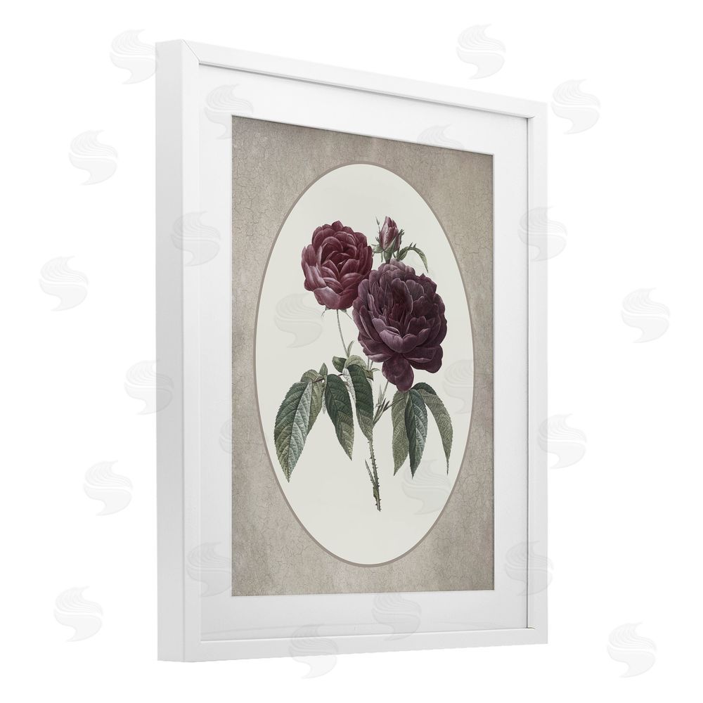 Lettered and Lined Vintage Blooms within Oval White Framed Print Under Glass Wall Art