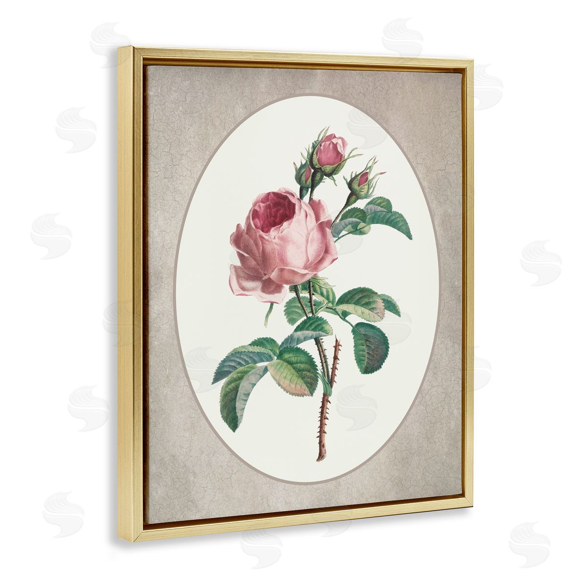 Lettered and Lined Vintage Rose within Oval Gold Floating Frame Canvas Wall Art Print