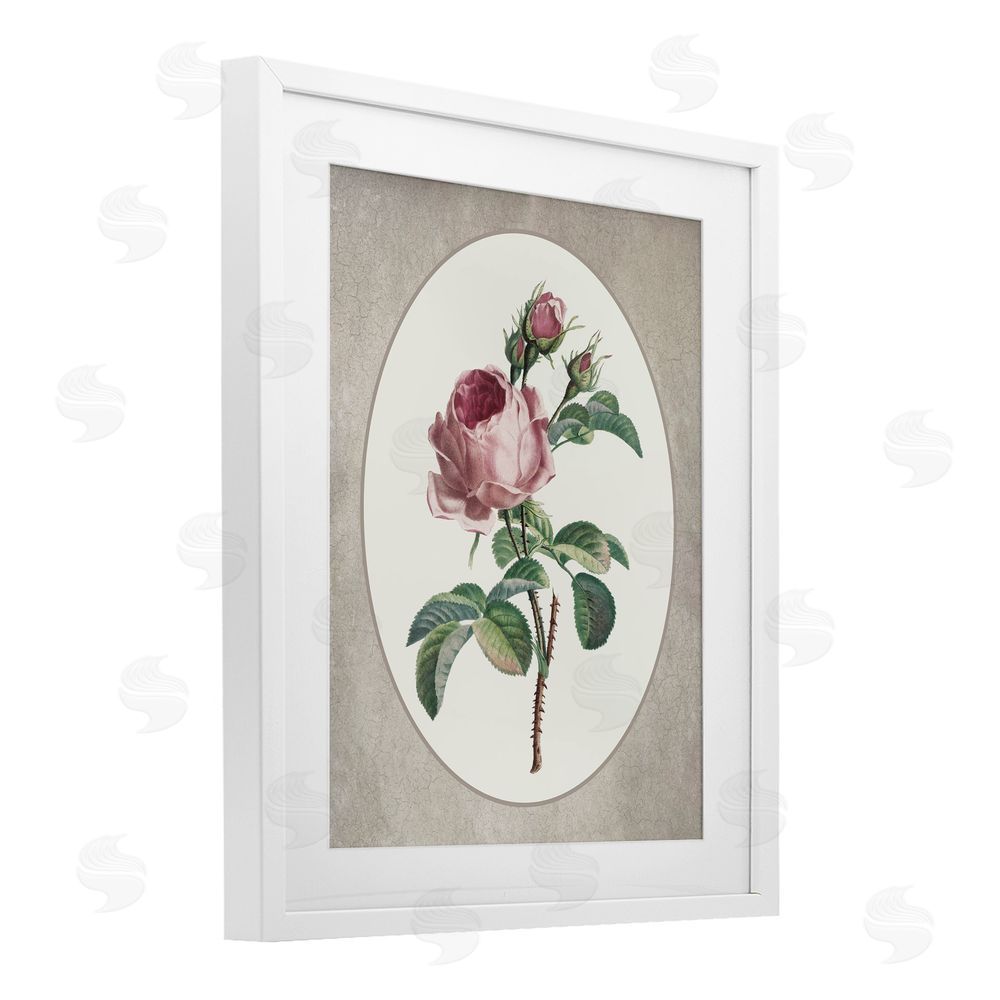 Lettered and Lined Vintage Rose within Oval White Framed Print Under Glass Wall Art