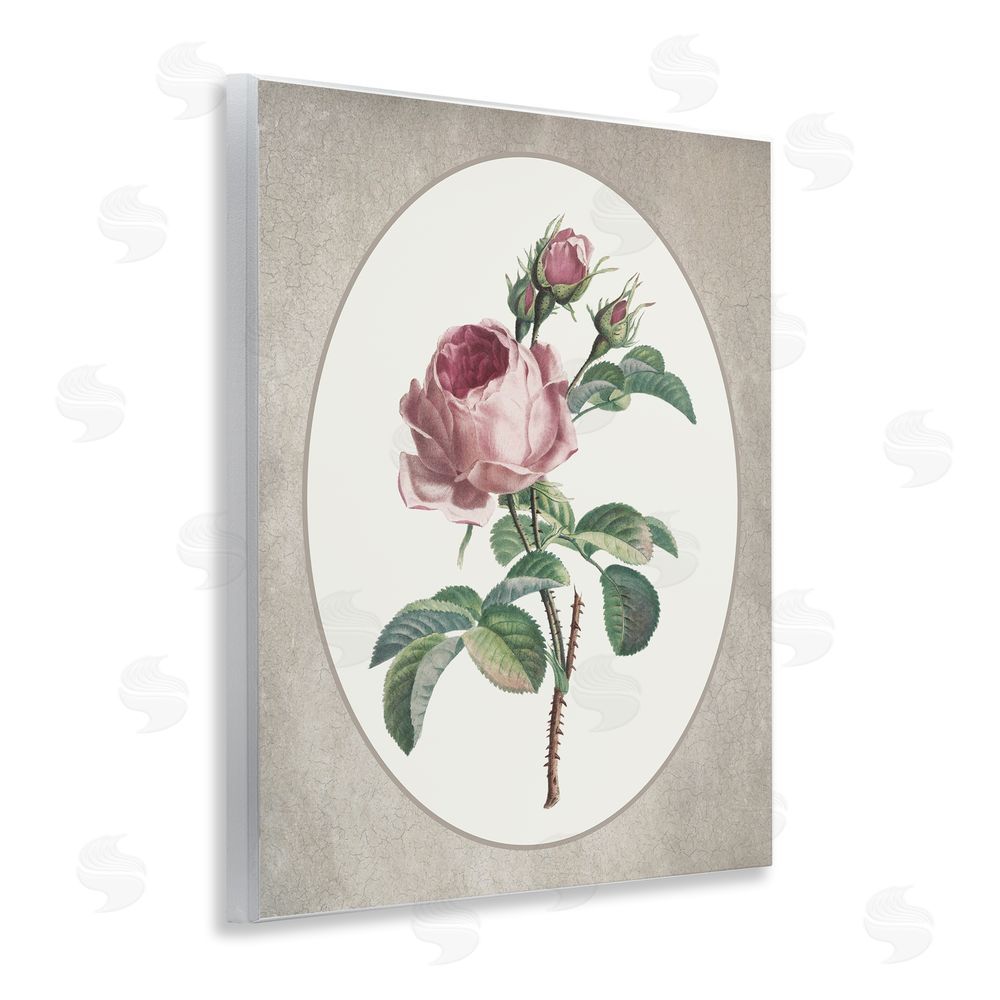 Lettered and Lined Vintage Rose within Oval Wooden Wall Plaque Art Print