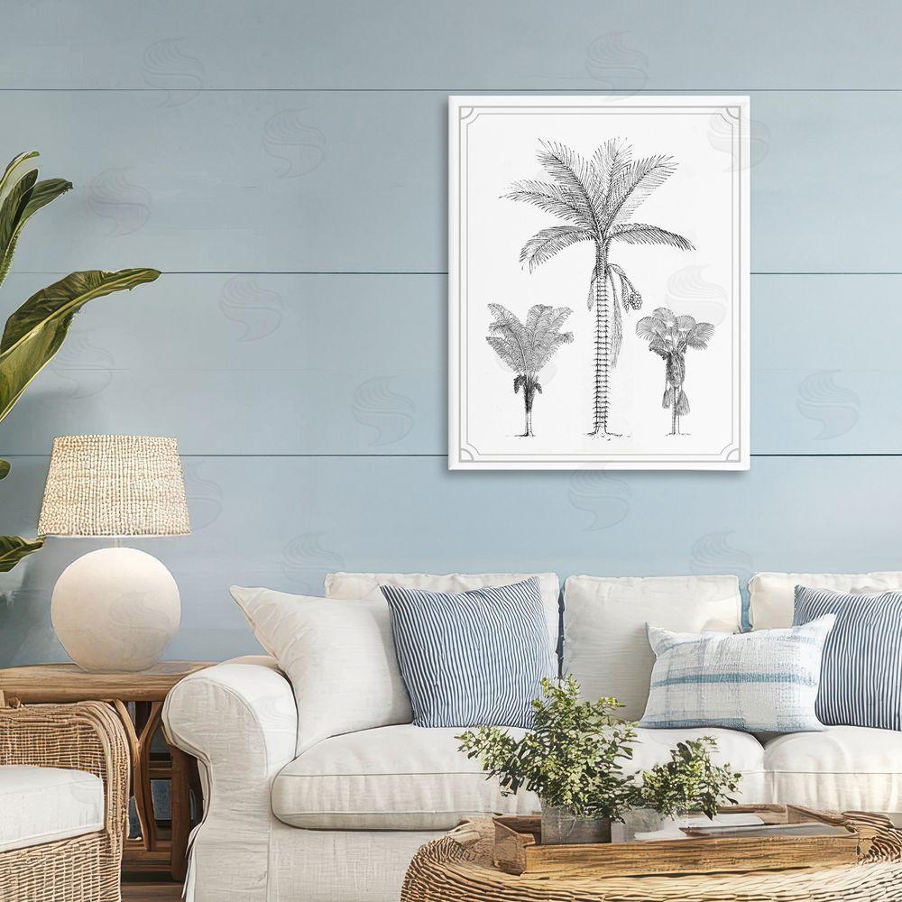 Lettered and Lined Palm Tree Trio Sketches Stretched Canvas Wall Art Print in Room