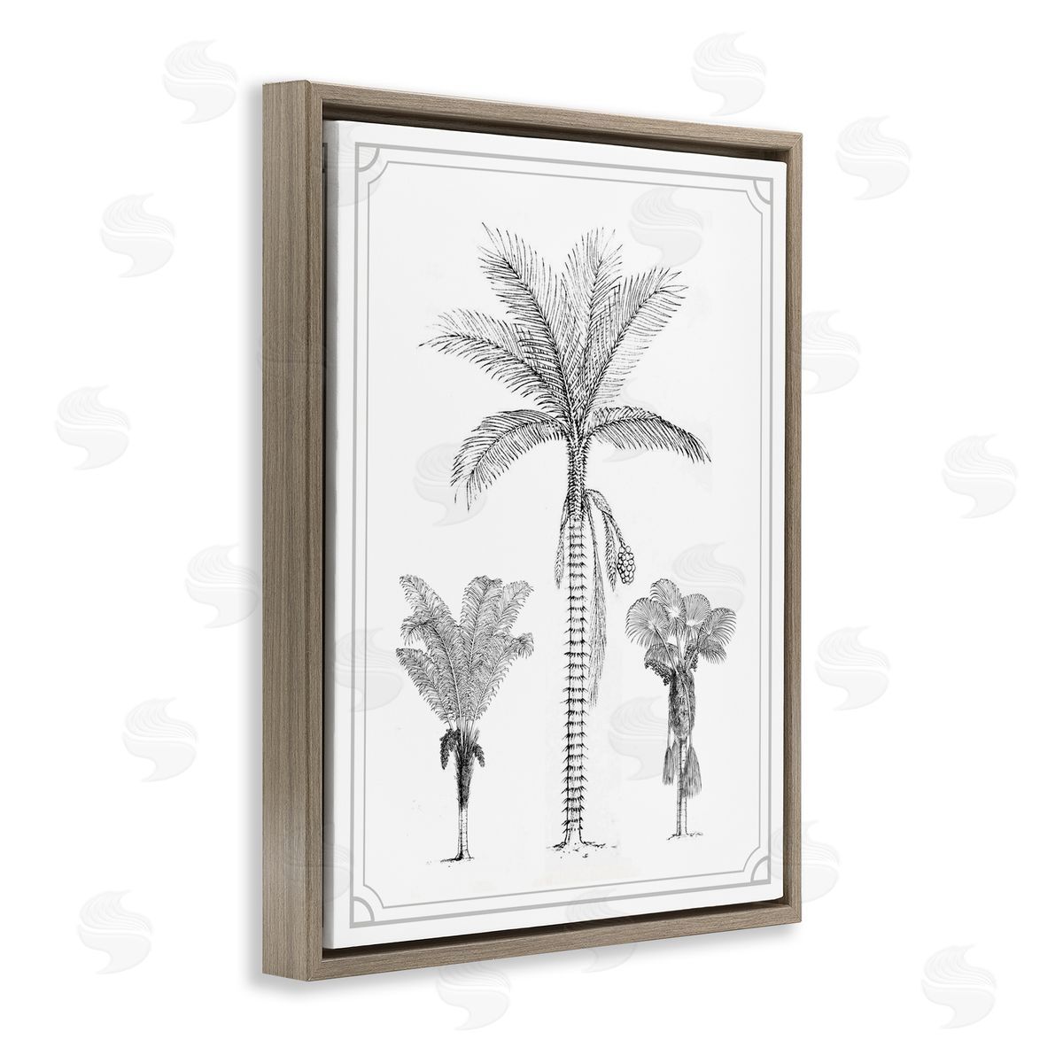 Lettered and Lined Palm Tree Trio Sketches Brown Floating Frame Canvas Wall Art Print