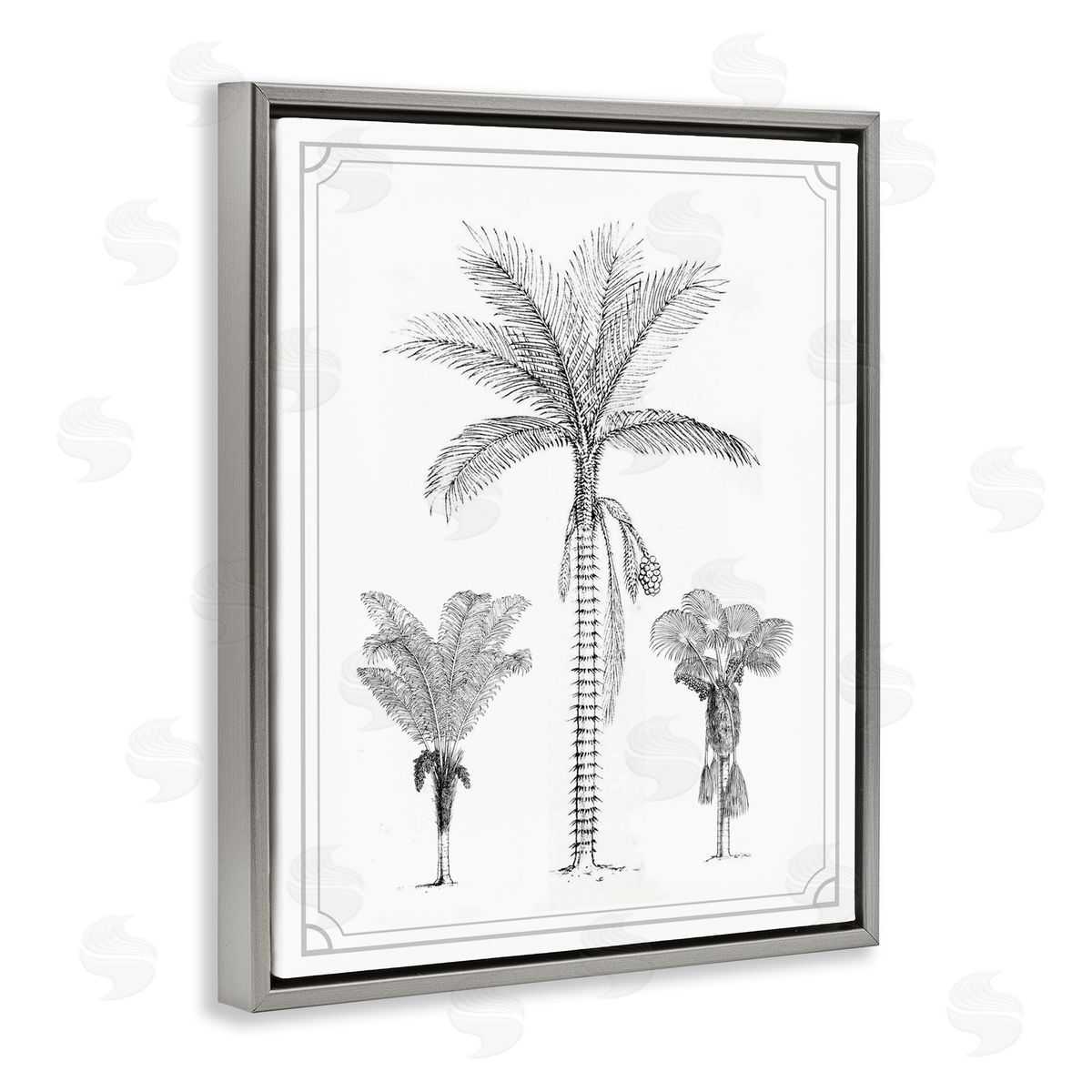 Lettered and Lined Palm Tree Trio Sketches Gray Floating Frame Canvas Wall Art Print