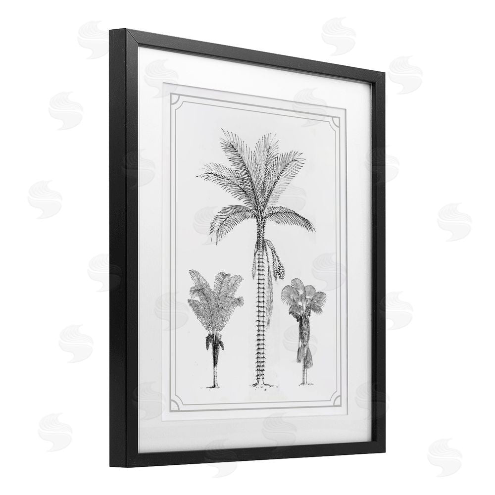 Lettered and Lined Palm Tree Trio Sketches Black Framed Print Under Glass Wall Art