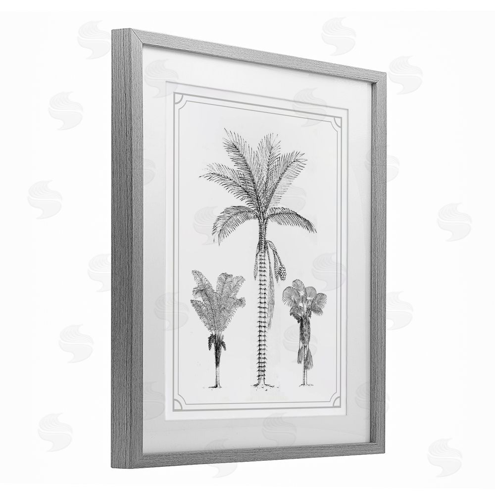 Lettered and Lined Palm Tree Trio Sketches Gray Framed Print Under Glass Wall Art