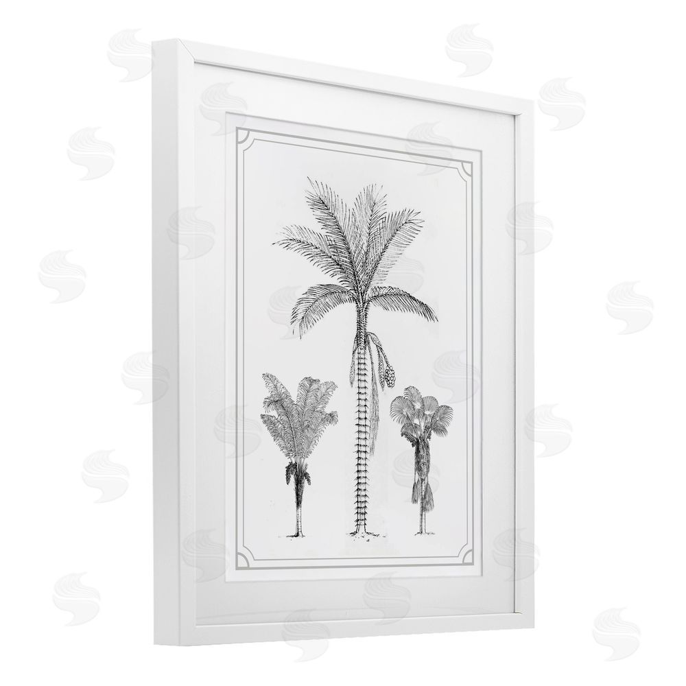 Lettered and Lined Palm Tree Trio Sketches White Framed Print Under Glass Wall Art