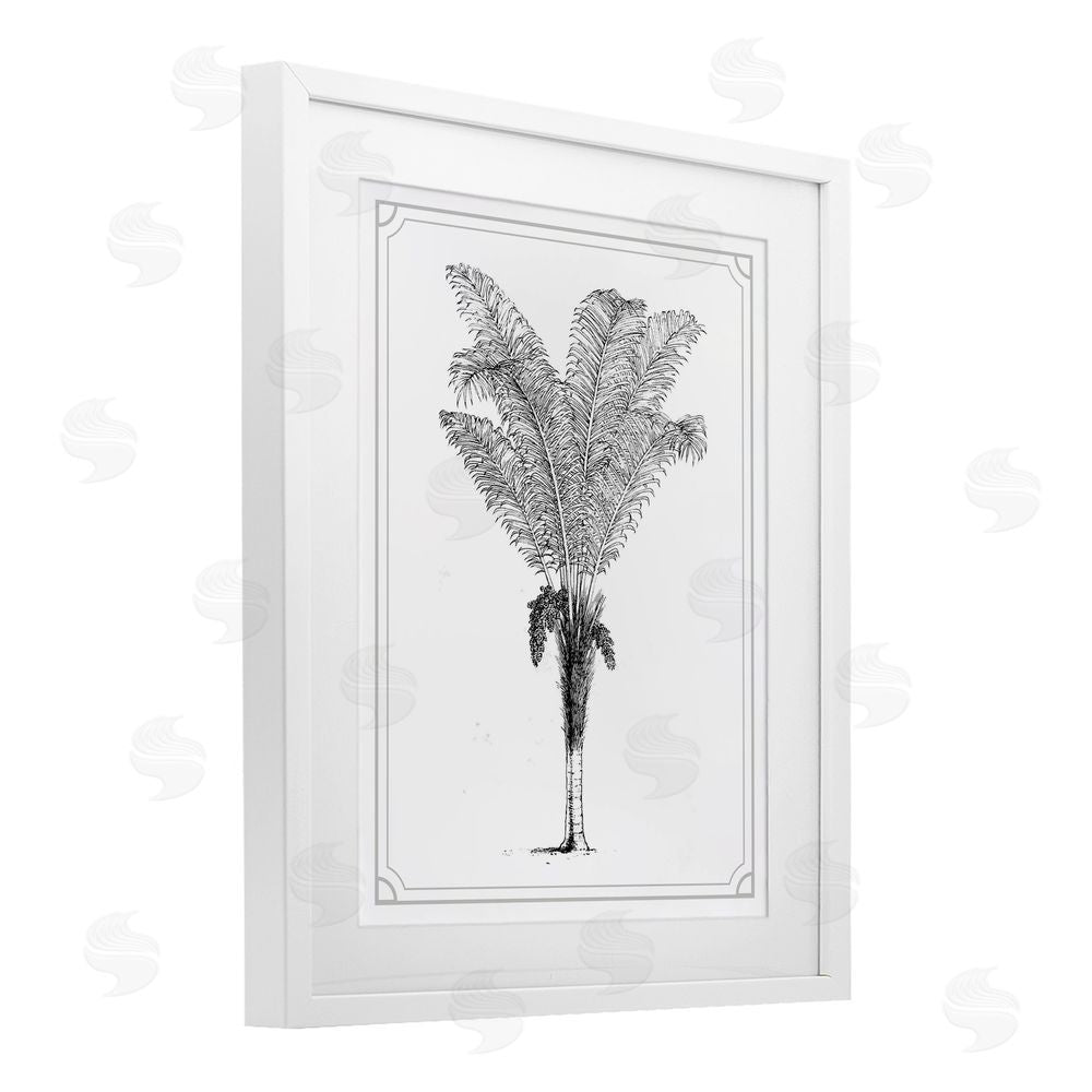 Lettered and Lined Vintage & Minimal Palm White Framed Print Under Glass Wall Art