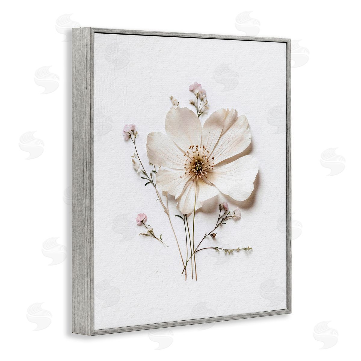 Lettered and Lined Simple Pressed Cottage Flower Gray Framed Giclee Print Wall Art