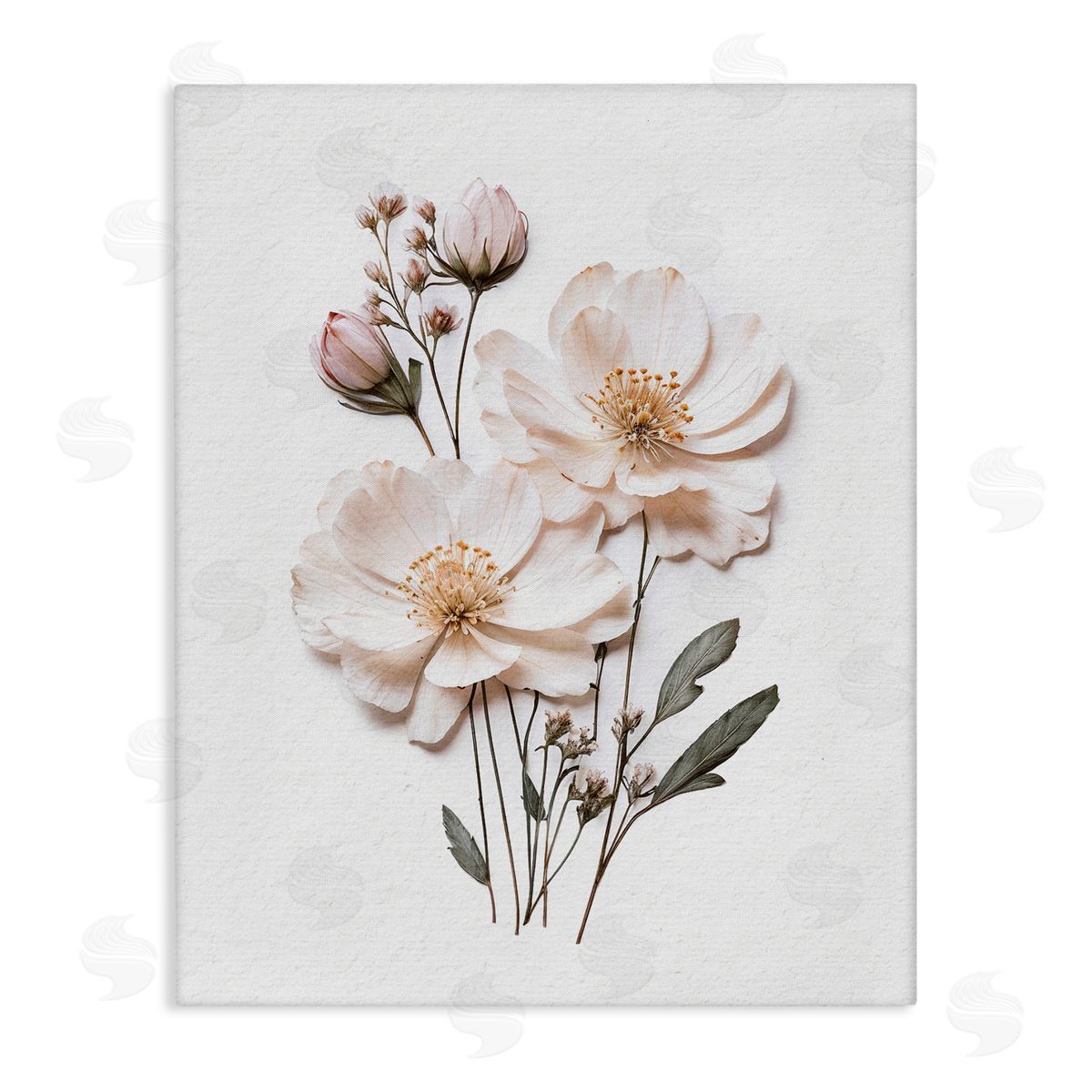 Lettered and Lined Elegant Pressed Flowers Stretched Canvas Wall Art Print