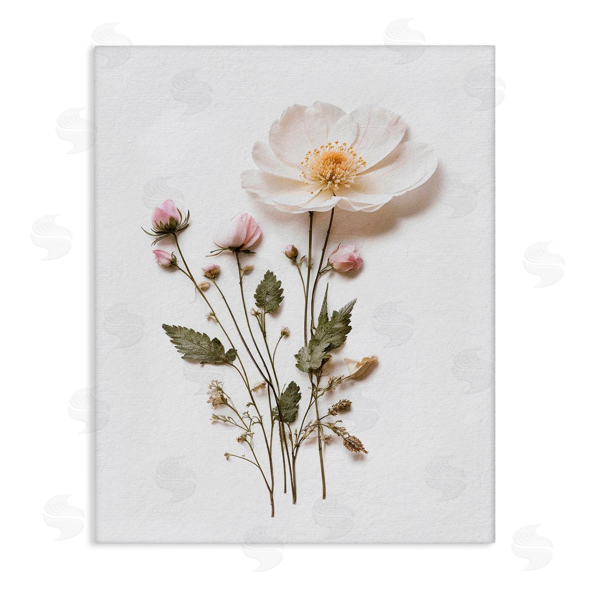 Lettered and Lined Simple Pressed Flowers Stretched Canvas Wall Art Print